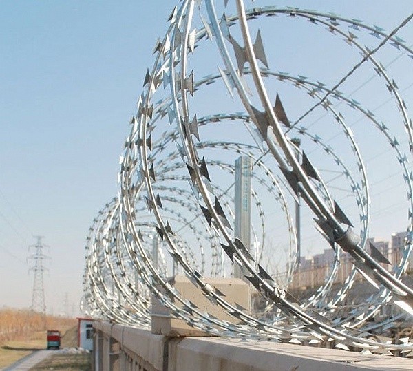 Electro ячеистая сеть бритвы Galvanized1.5mmx1.5mm сваренная диамантом 3